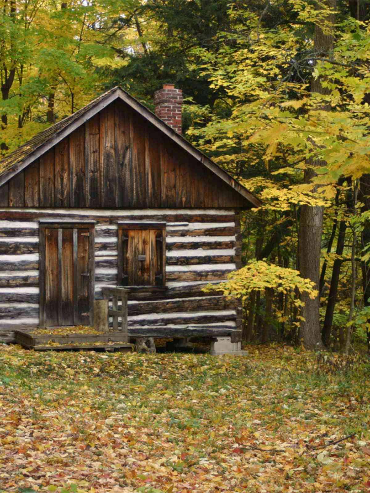 log cabin sugar shack in the woods.